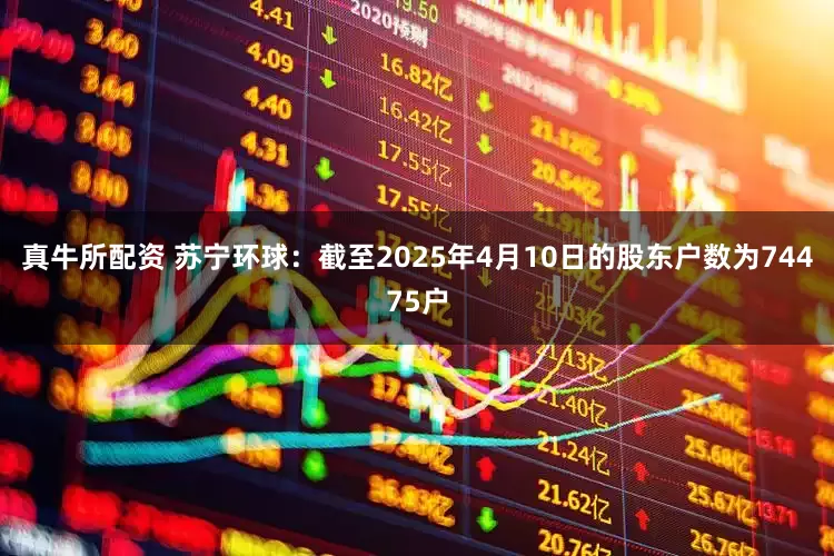 真牛所配资 苏宁环球：截至2025年4月10日的股东户数为74475户