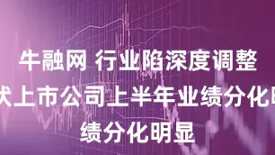 牛融网 行业陷深度调整 光伏上市公司上半年业绩分化明显