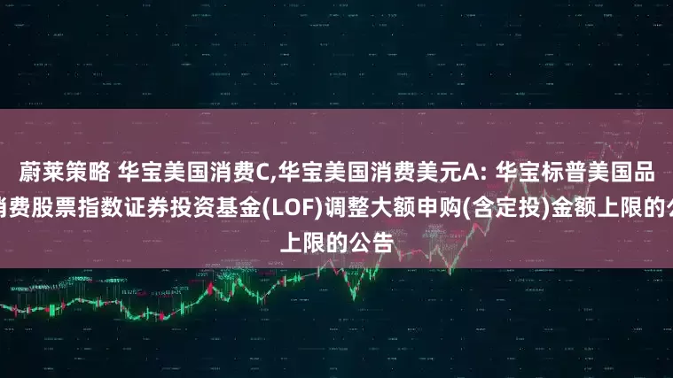 蔚莱策略 华宝美国消费C,华宝美国消费美元A: 华宝标普美国品质消费股票指数证券投资基金(LOF)调整大额申购(含定投)金额上限的公告