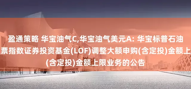 盈通策略 华宝油气C,华宝油气美元A: 华宝标普石油天然气上游股票指数证券投资基金(LOF)调整大额申购(含定投)金额上限业务的公告