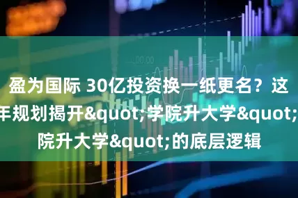 盈为国际 30亿投资换一纸更名？这所高校用5年规划揭开"学院升大学"的底层逻辑